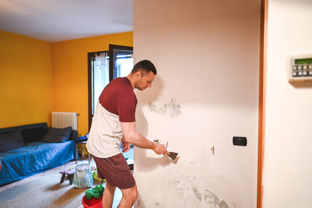 Mold Remediation Experts